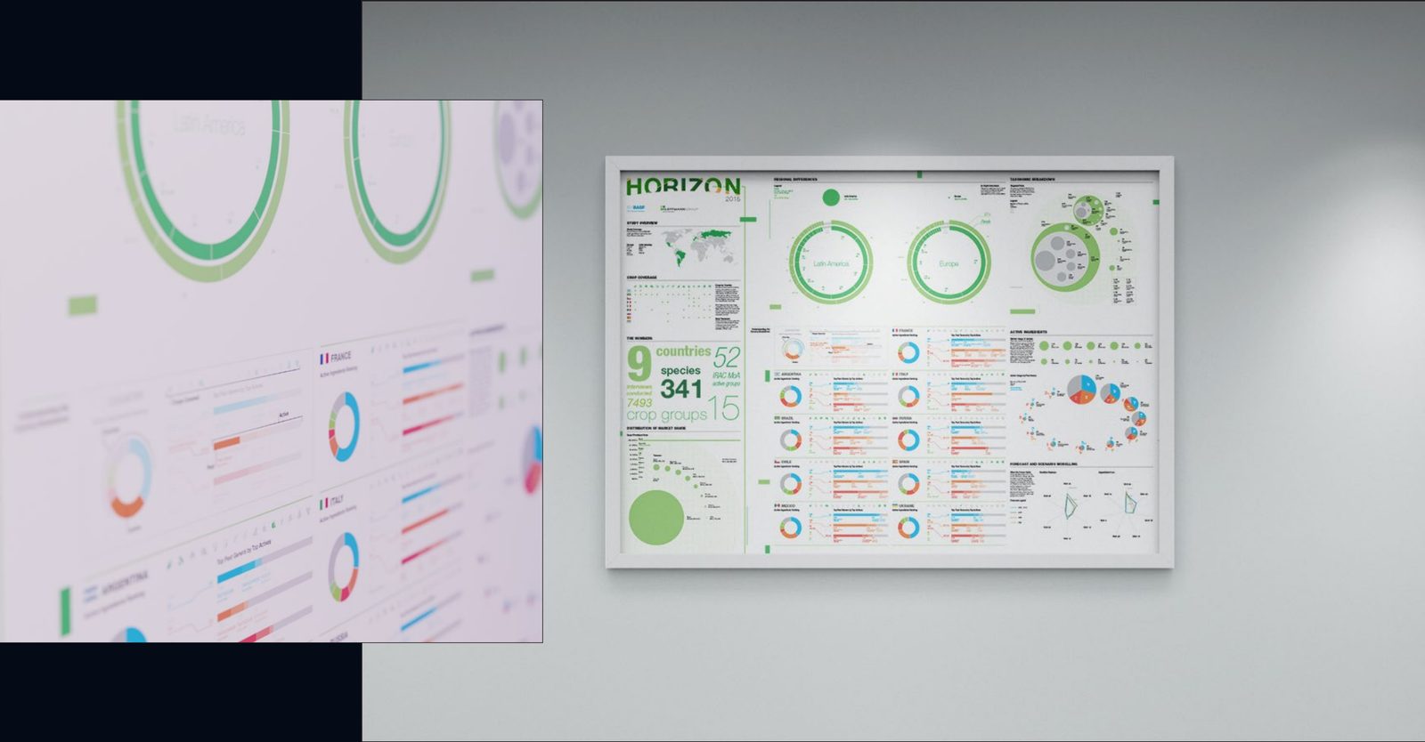 Framed Horizon poster with ring charts and bar charts, and a close-up of its detail