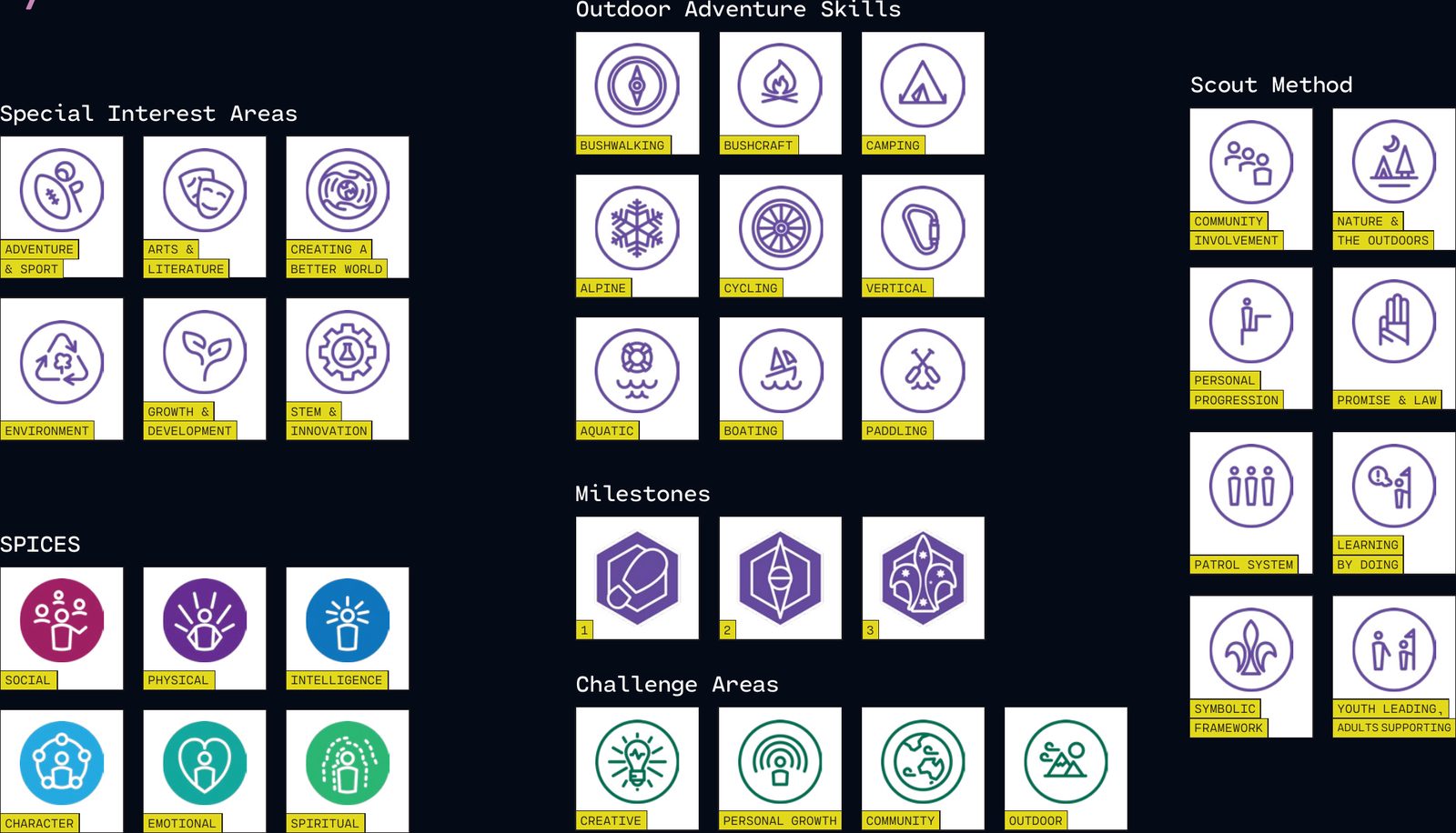 Icons for Special Interest Areas, Outdoor Adventure Skills, Challenge Areas, Milestones and the Scout Method
